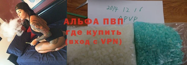 стаф Беломорск