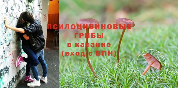 наркотики Белокуриха