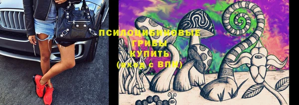 стаф Беломорск