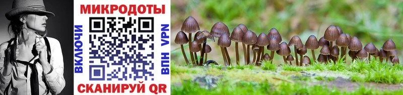 Галлюциногенные грибы Cubensis  блэк спрут как войти  Гай 