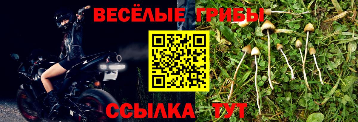 Галлюциногенные грибы прущие грибы  Вход с VPN  Гай  Галлюциногенные грибы мицелий 