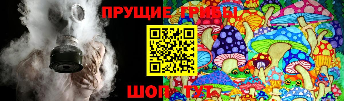 Галлюциногенные грибы Psilocybe  Гай 