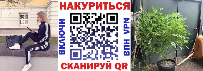 блэк спрут как зайти  Гай  Марихуана Bruce Banner  где купить наркотик 